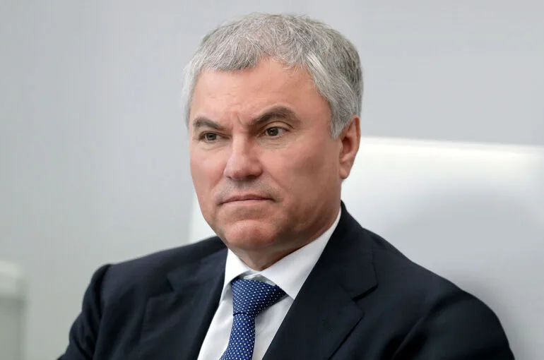 Володин предложил провести «правчас» по строительству очистных сооружений на Волге