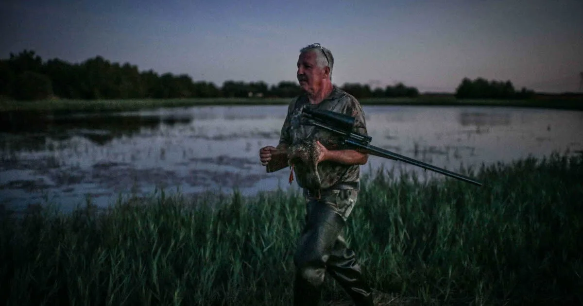 Environnement. Canard, oie... la chasse au gibier d’eau ouverte, malgré les craintes liées à la sécheresse