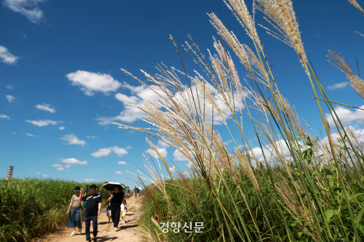 아침·저녁 서늘…낮 최고 31도 “큰 일교차 주의”
