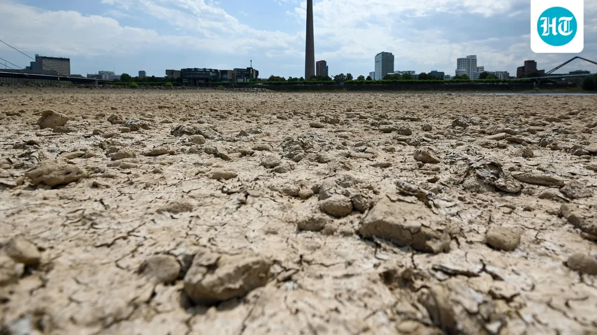 Vast swathes of farmlands still short of rain despite late spells