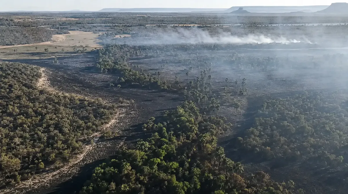 Incêndio no Parque Terra Ronca chega ao 7º dia com fogo na Serra Geral e reforço nas equipes