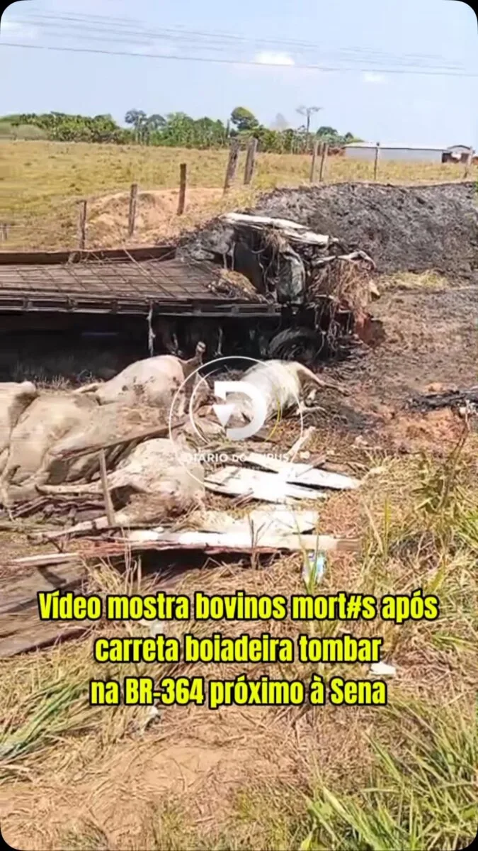 Bois mortos seguem à margem da BR-364 após acidente com carreta