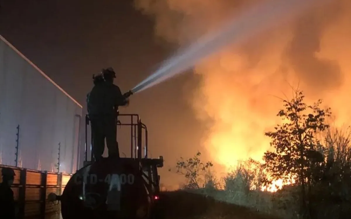 Incêndios Zero: causas, impactos e como prevenir incêndios irregulares