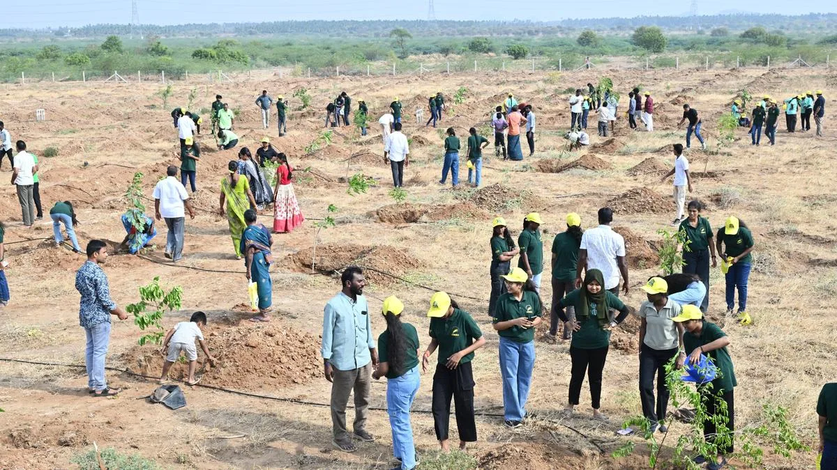 Orathupalayam reservoir basin turns greener with 15,000 new saplings