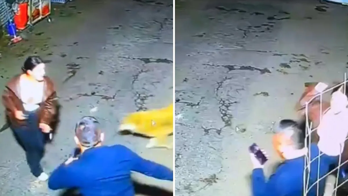 Nuevos videos del caso Hasli Jáuregui y Santiago Pardo abrieron dudas sobre el altercado que se presentó en un parqueadero en Bogotá