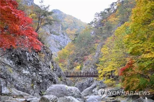 주왕산 공원사무소, 행락철 불법·무질서 행위 집중 단속
