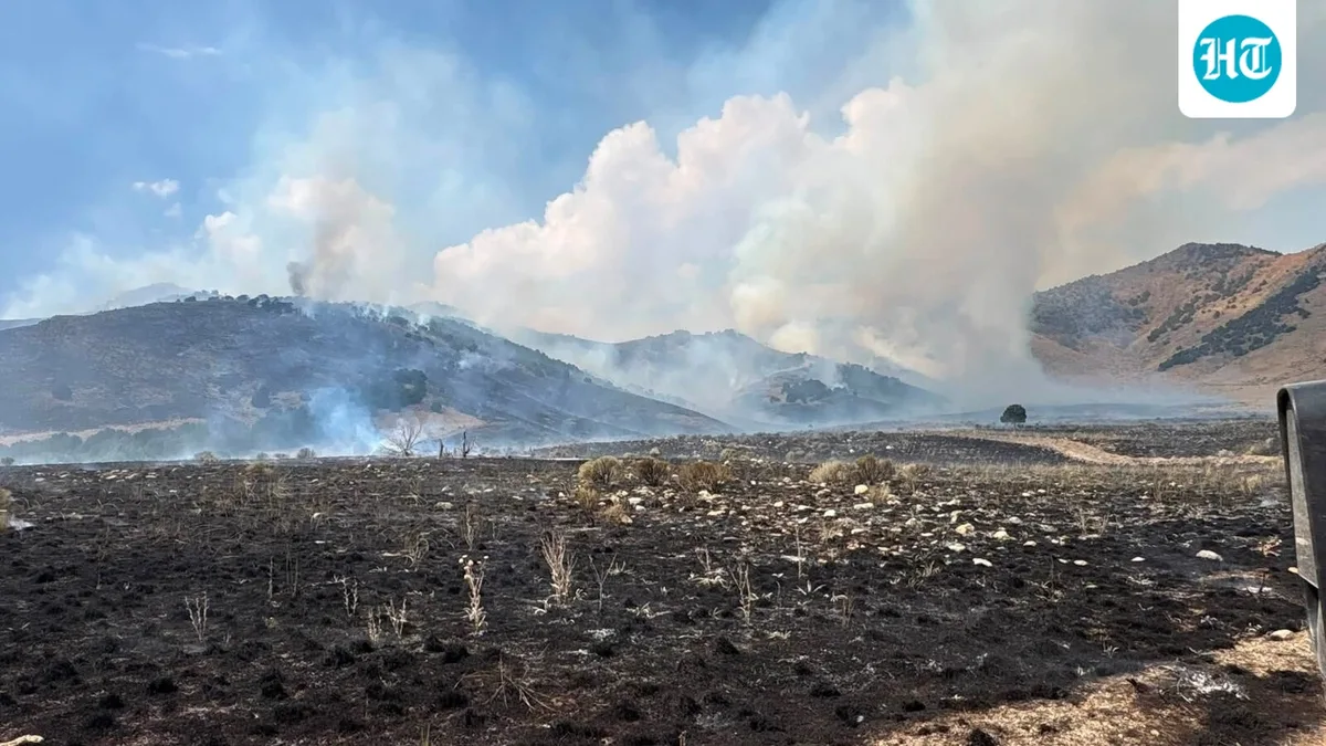 Fire in Logan, Utah? What's burning today as fears rise amid Brushy Canyon Fire - latest update; scary visuals emerge