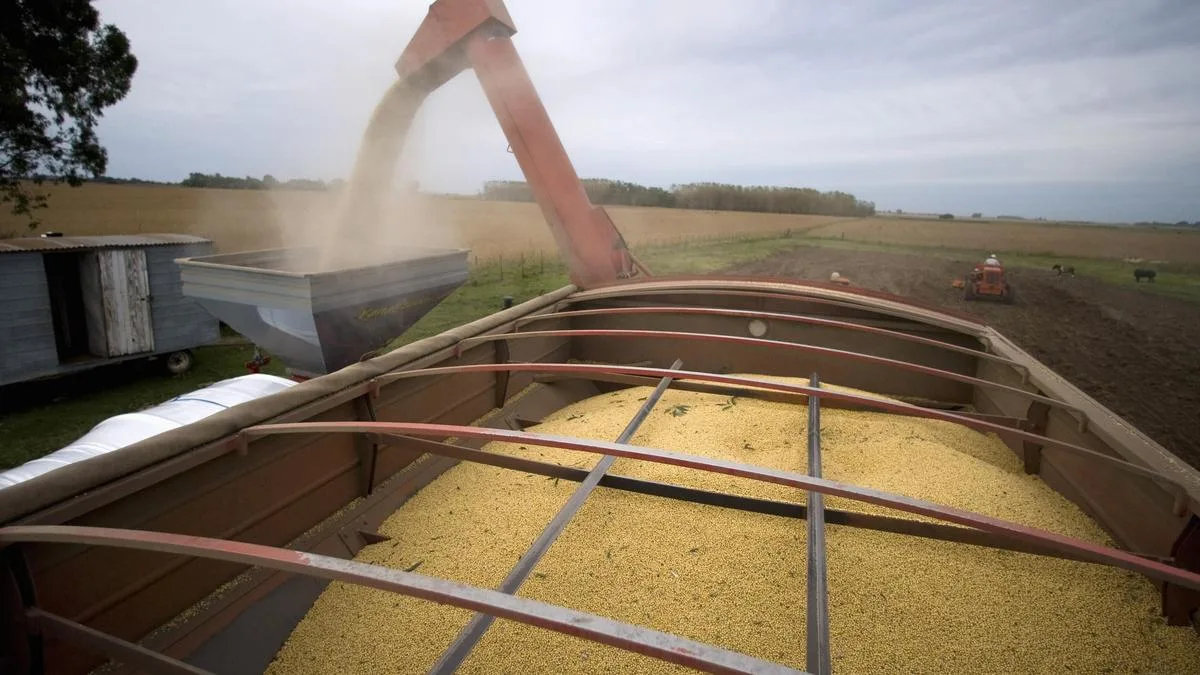 India set for record soyoil imports as Russia-Ukraine war disrupts sunflower shipments