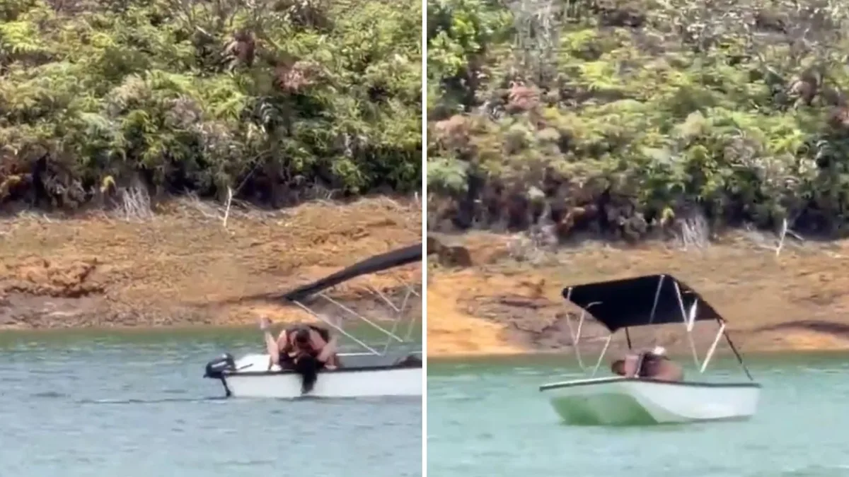 Video captó el momento en que un hombre realizaba extraños movimientos con una mujer en una embarcación en Guatapé: “Se está comiendo un bagre”