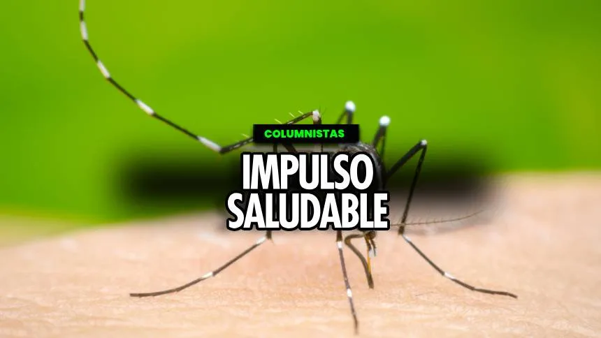 El dengue: ¿Cómo combatirlo en medio de lluvias y calor?