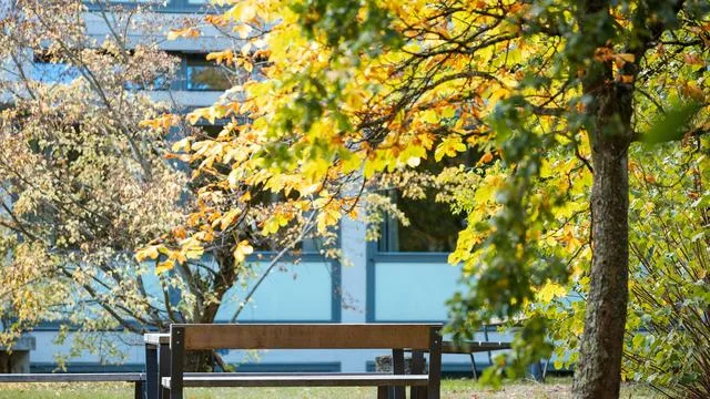 Vorhersage: Kühler und regnerischer: Wetterumschwung am Wochenende