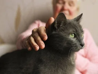 Charge mentale. Santé, éducation, mode de garde… Les propriétaires d’animaux de compagnie sont eux aussi touchés