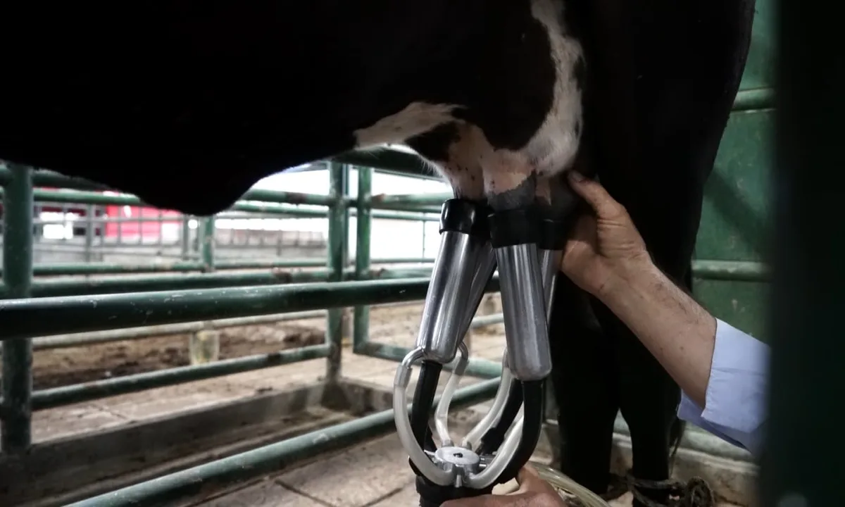 Importaciones de leche en polvo disparan alerta de Fedegán: el gremio pide proteger a los productores colombianos