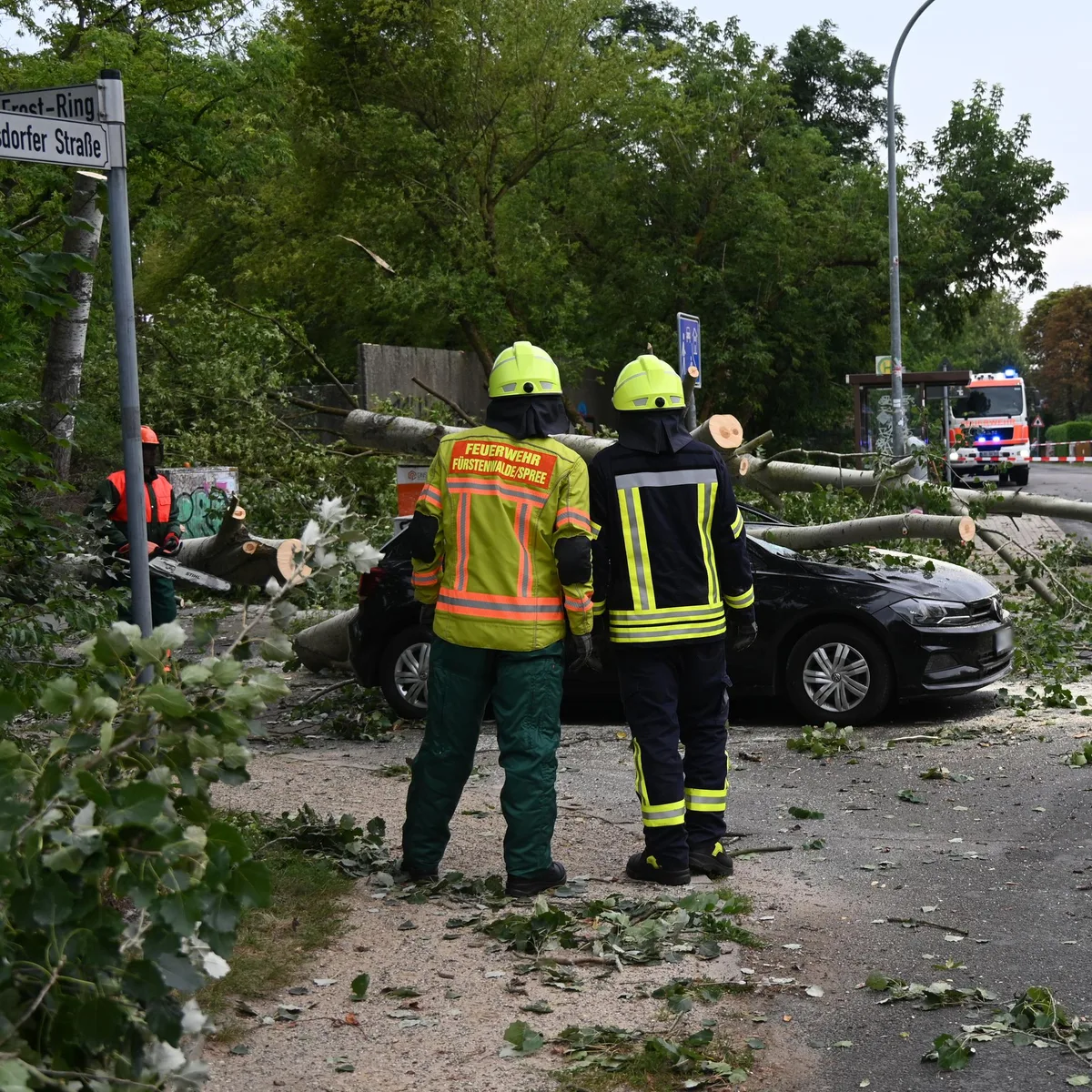 Unwetter - Frau wird in Rheinland-Pfalz von umstürzendem Baum erschlagen - Tornado in Brandenburg