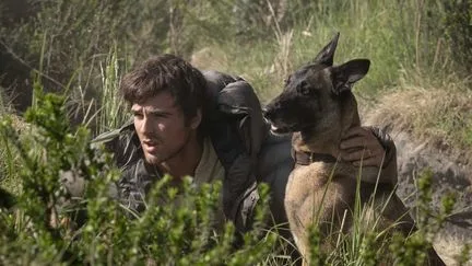 "Dog Stars", "L'inconnue", "Decorado", "Dégel"... Quels sont les films à voir (ou pas) cette semaine au cinéma ?