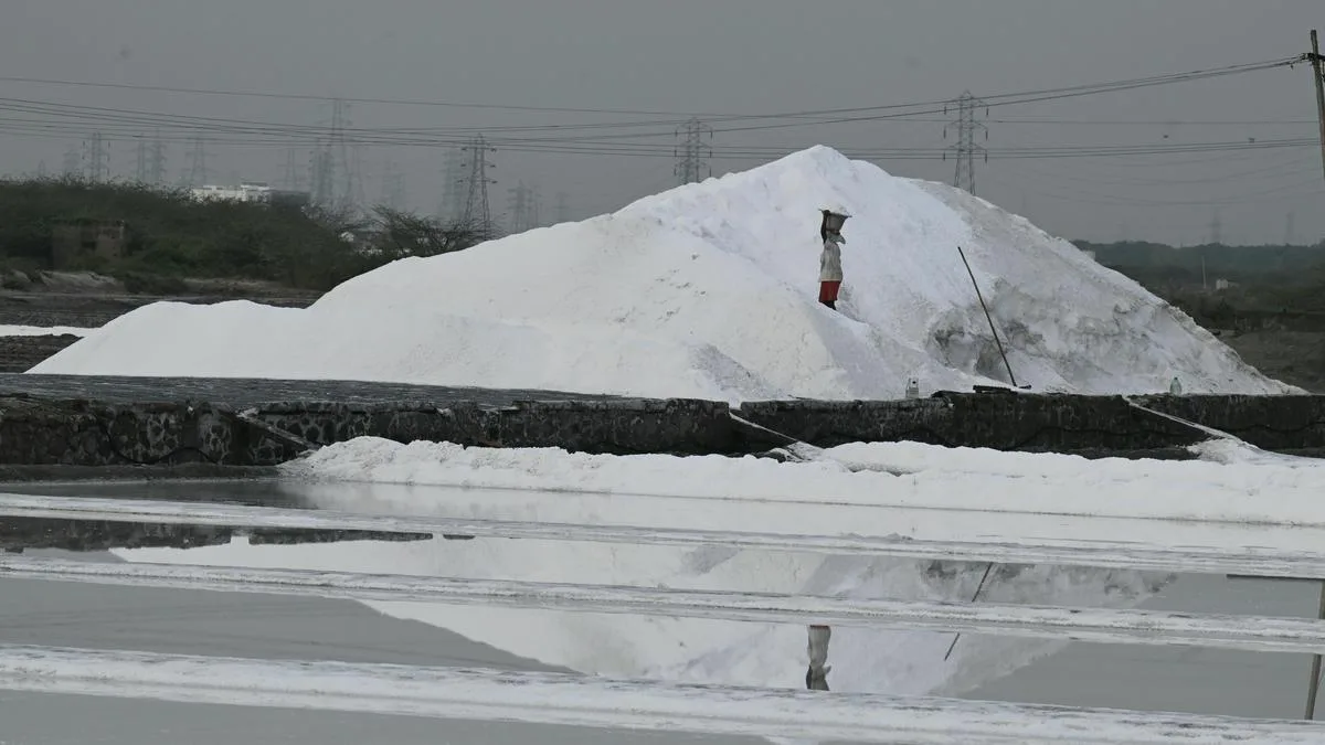 Salt pans of individuals are only on 300 acres of 1,700-acre stretch chosen for shipbuilding unit: Survey
