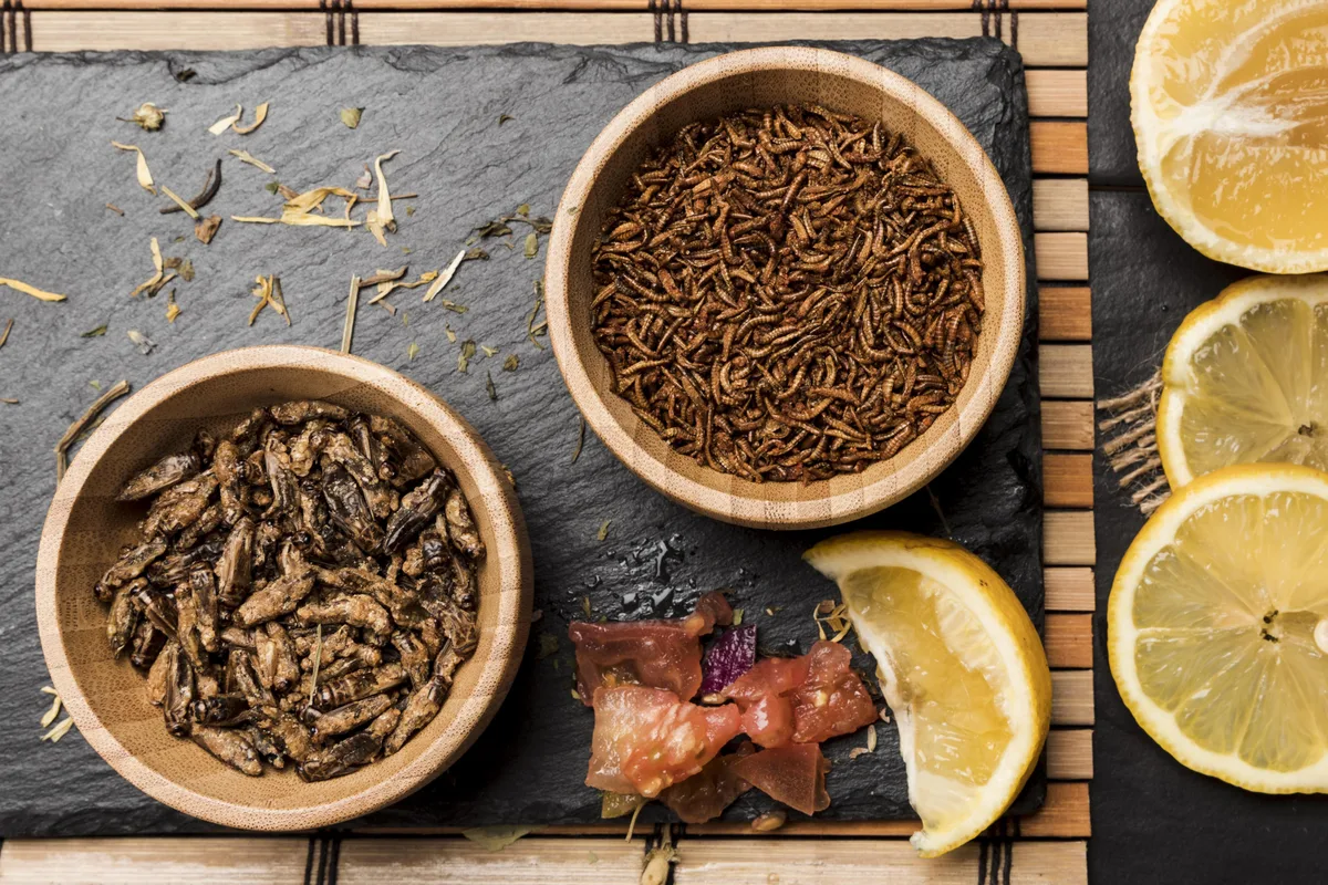 Chapulines: el salto de una cocina ancestral al fuego contemporáneo