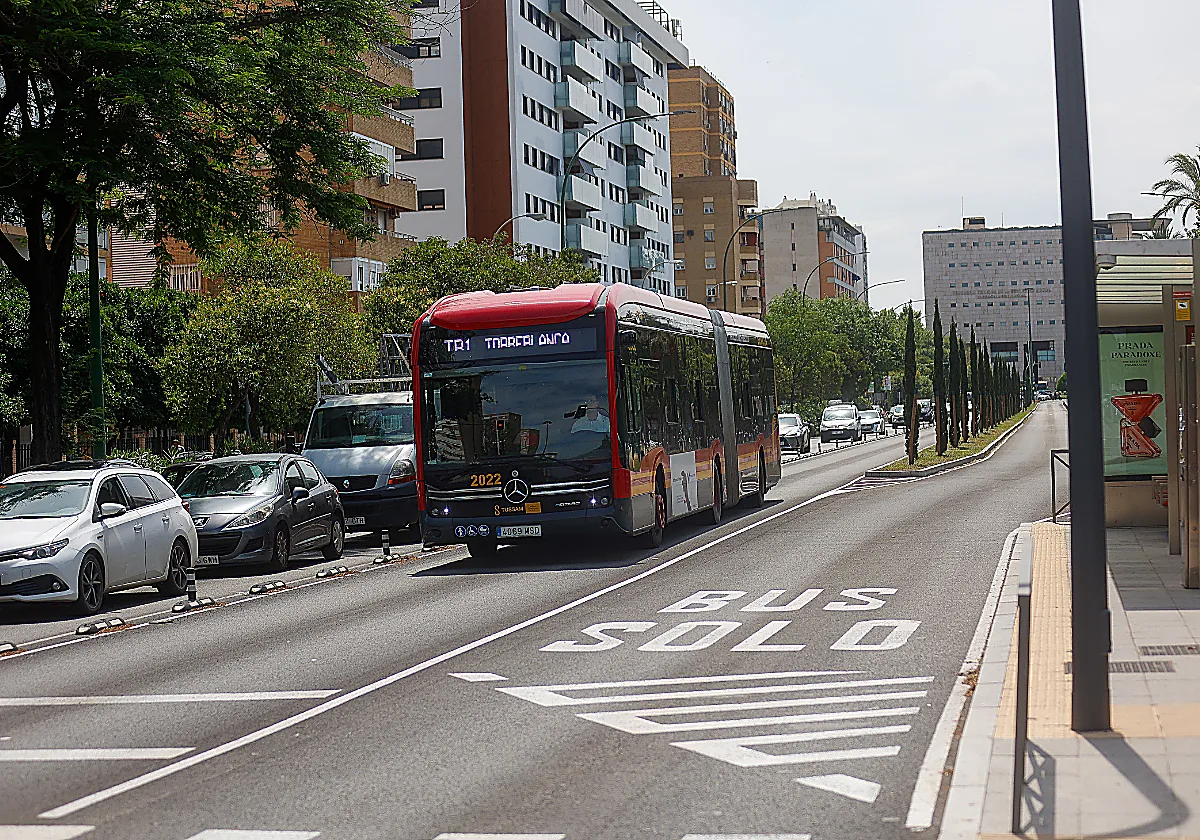 Mapa de acceso al centro de Sevilla con la llegada del Tranvibús: qué coches podrán entrar, multas, parkings y permisos