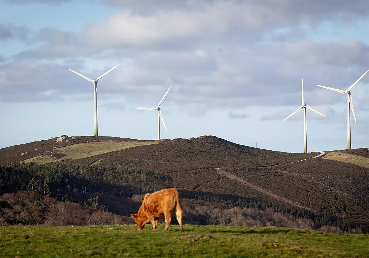 El Sindicato Labrego pide una reunión urgente a Medio Rural ante la «situación límite» del campo por la sequía