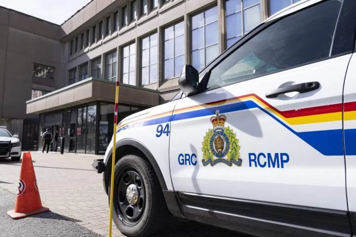 Pedestrian dead following early morning collision near Moncton, N.B.