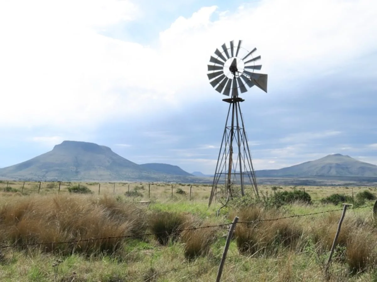 Southern Africa warned over strength and early onset of ‘exceptional’ El Niño