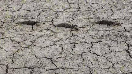 Le phénomène climatique El Niño pourrait être "le plus intense depuis plus d'un siècle", alerte l'agence météorologique britannique