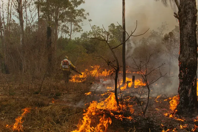 Chuva some do DF e agosto já acumula mais de mil incêndios em vegetação
