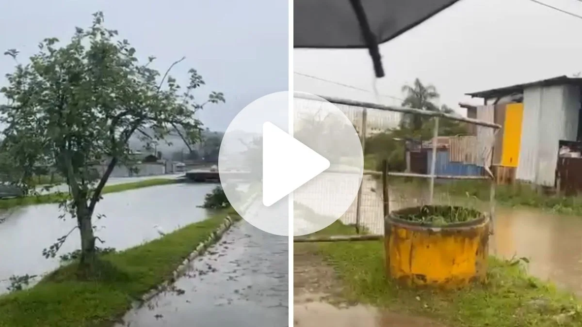 Ribeirão sobe mais que o dobro do normal, sai da calha e sirene toca para alertar moradores sobre alagamento em cidade de SC