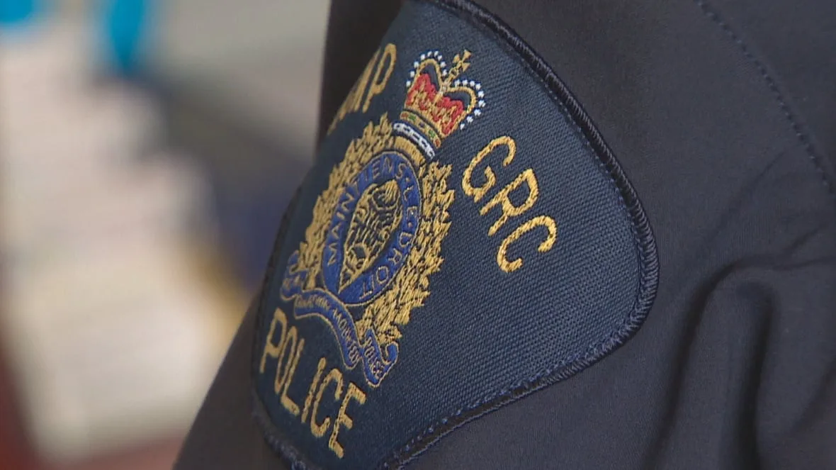 Ottawa youth accused of anti-Jewish terror plot guilty of 2 of 3 charges