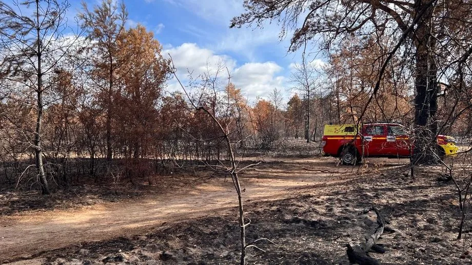 VIDÉO - Incendie de Fontainebleau : les pompiers toujours à l'œuvre contre le feu pas encore "éteint"