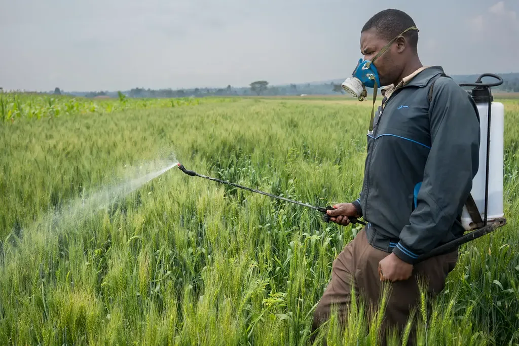 As Europe retreats on pesticides, South Africa has a choice