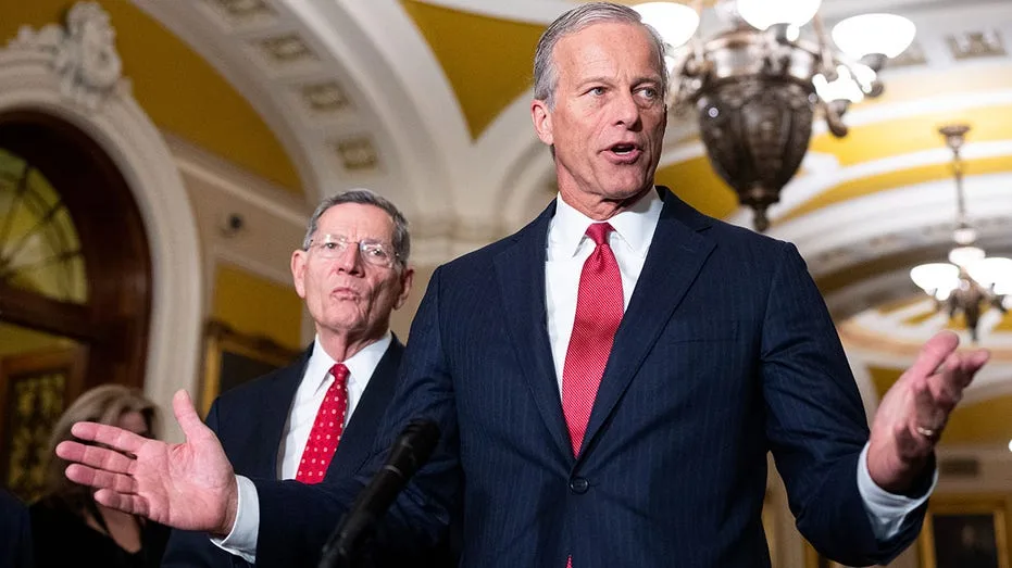 Thune-aligned groups unleash historic war chest to defend Senate majority: 'Winning message'