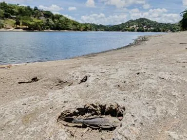 US declares drought disaster for parts of Puerto Rico as dry conditions persist