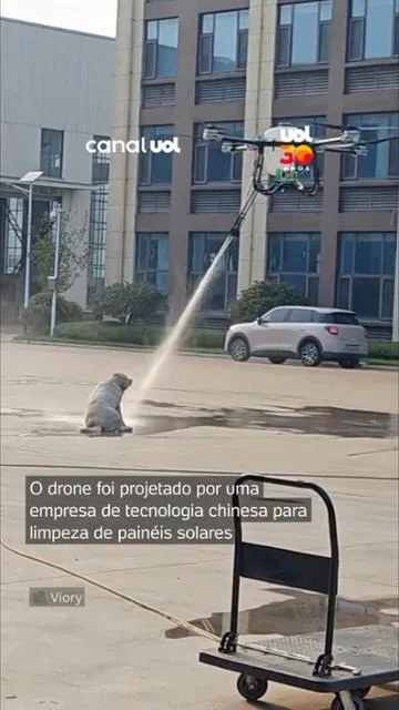 Dia de cão! Drone gigante dá ?banho surpresa? em Golden Retriever na China