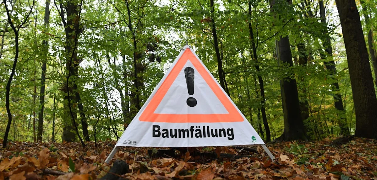 Grundschulkind schaut bei Forstarbeiten zu – und wird von Baum erschlagen