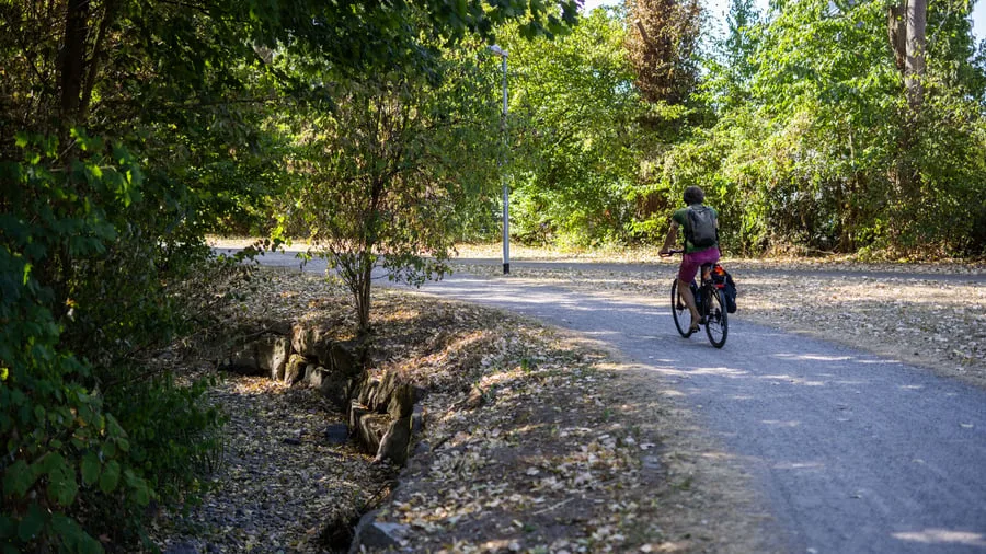 „Preisrückgänge und überfüllte Lager“: Fahrradbranche verliert Umsatz und Beschäftigung