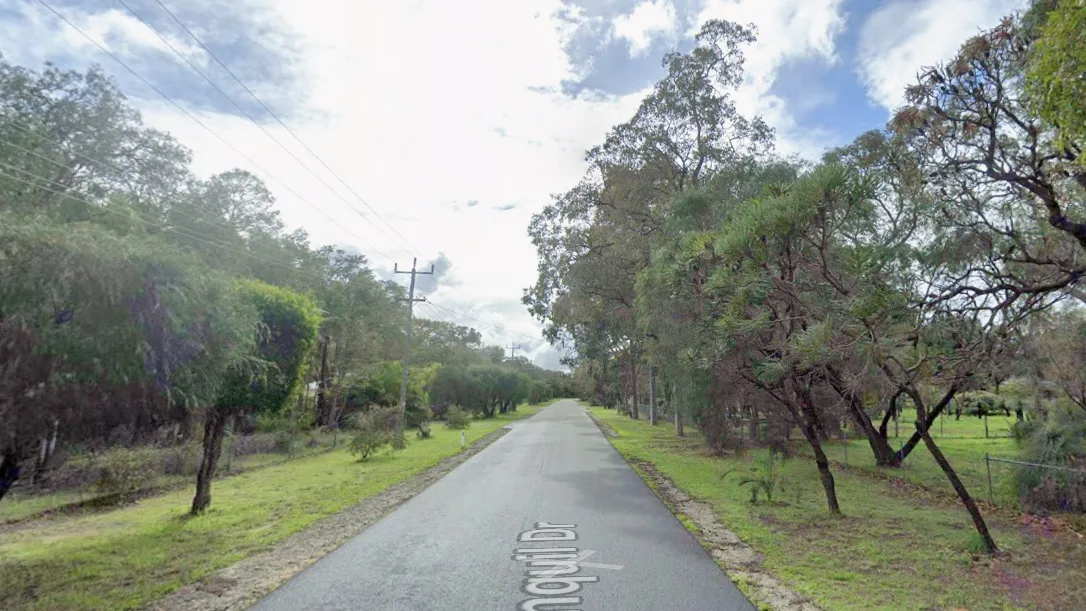 Pedestrian killed in Carramar crash with driver now assisting police