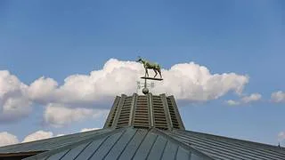 Keeneland tendrá a 125 caballos para la subasta de caballos de carreras de noviembre