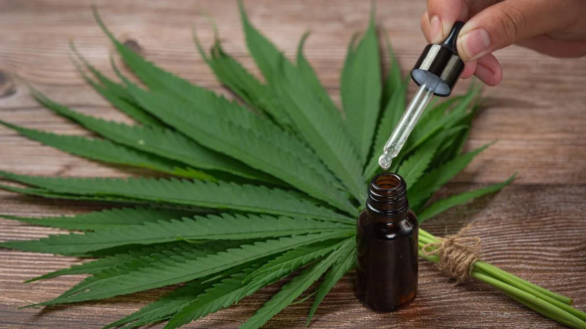 THC da cannabis pode deixar células agressivas do câncer de mama menos resistentes