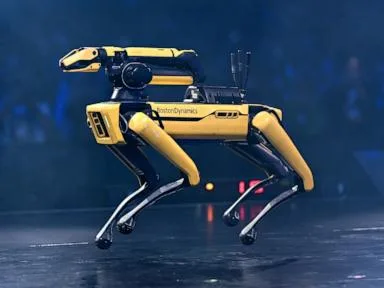 ICE plans to purchase robot dogs