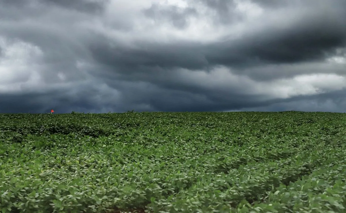 Sul do Brasil entra em alerta para fim de agosto com risco de alagamentos e rios acima do normal