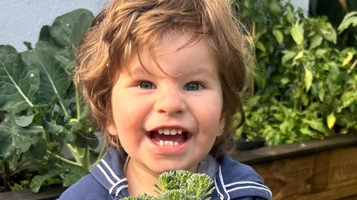 Nurse admits she ‘played a role’ in death of 2yo Joe Massa after series of clinical errors