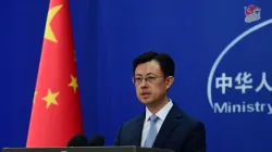 Exchange of visits by Xi, Trump within months a 'historic milestone'