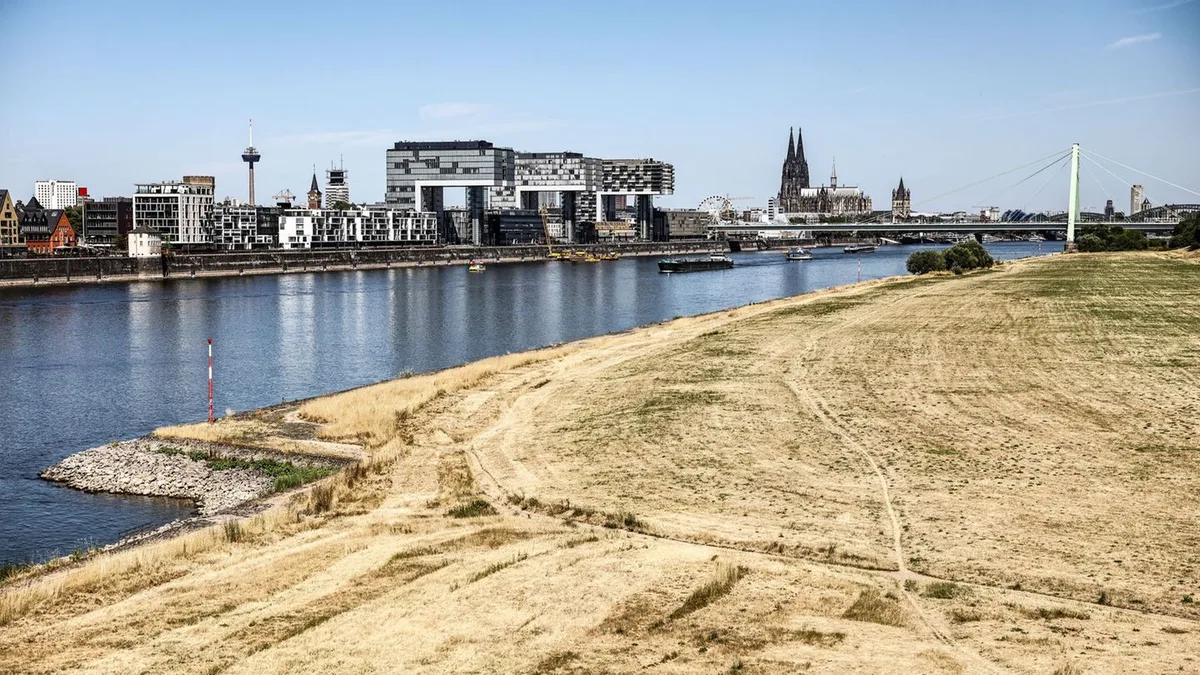 Hintergrund noch unklar: Mehrere Schüsse in Köln – Polizei nimmt Verdächtigen fest