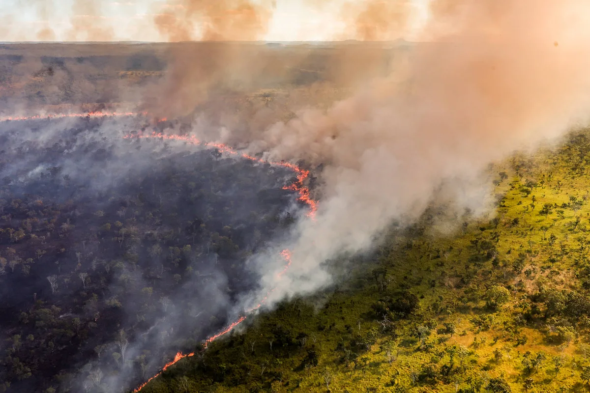 Brigadas indígenas buscam unir saber tradicional a drones e mapas na prevenção de incêndios