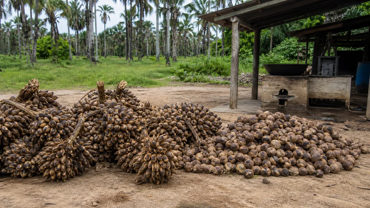 MDA cumpre agenda com quebradeiras de coco babaçu no Maranhão