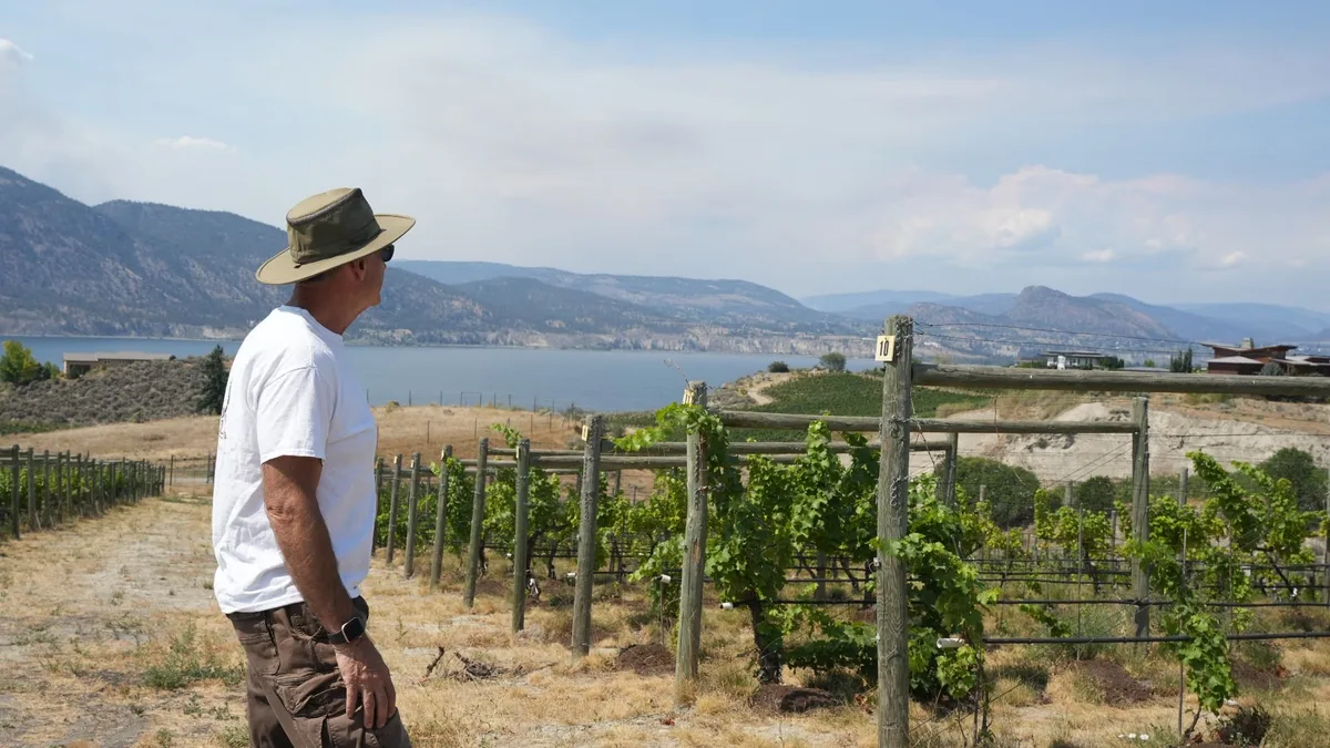 Vignes brûlées et visites de domaines annulées: au Canada, l'industrie viticole en difficulté après les feux de forêt (les vignerons redoutent un vin au gout de "cendrier")