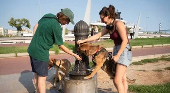 Pelo menos 35 mil mortes em excesso registadas nas ondas de calor na Europa