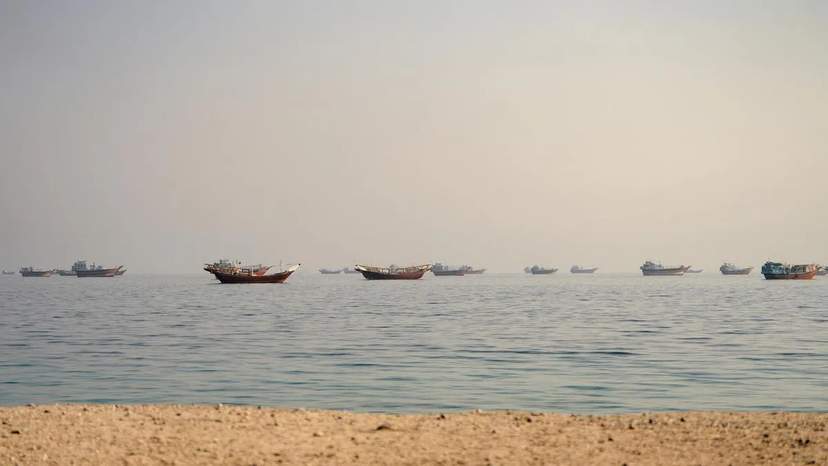 Indian national killed in attack on MV Cape Dao, says Embassy in Oman