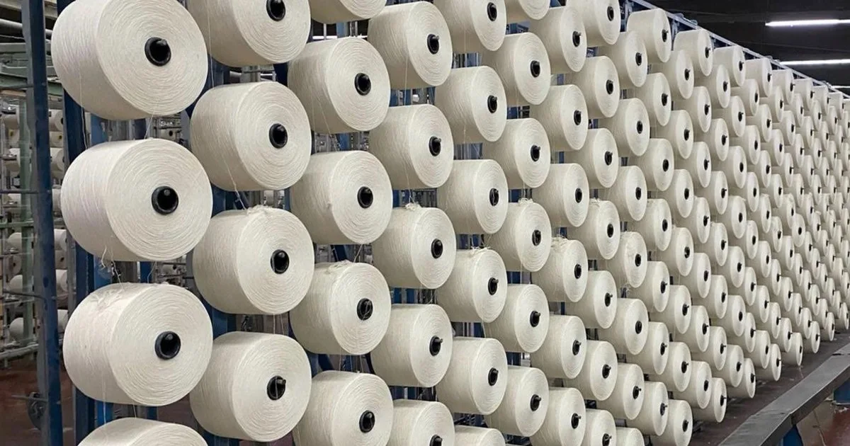 Vaca Muerta y textiles: ganadores y perdedores del modelo económico y el "tapado" que podría resurgir en 2027
